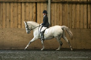 Isis Dressage Crown Farm Show 29th April 2012